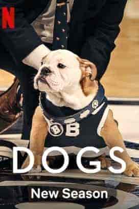 مسلسل Dogs الموسم الثاني الحلقة 4 والاخيرة مترجمة